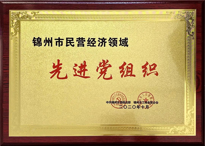 中共錦州市濱海電商行業(yè)協(xié)會(huì )/錦州濱海電子商務(wù)產(chǎn)業(yè)基地股份有限公司黨支部榮獲“先進(jìn)黨組織”稱(chēng)號