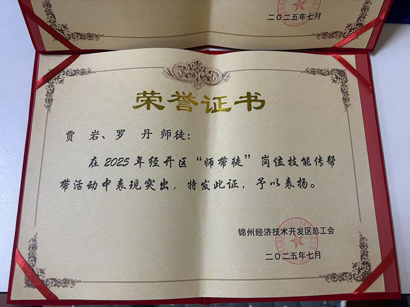 賈巖、羅丹師徒榮獲經(jīng)開(kāi)區“師帶徒”崗位技能傳幫帶活動(dòng)表彰